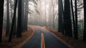 Превью обои дорога, туман, осень, разметка, лес, поворот, деревья
