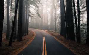 Превью обои дорога, туман, осень, разметка, лес, поворот, деревья
