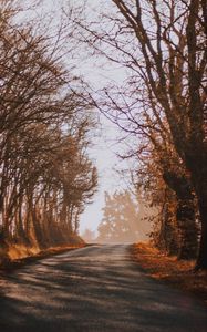 Превью обои дорога, туман, осень, деревья, поворот