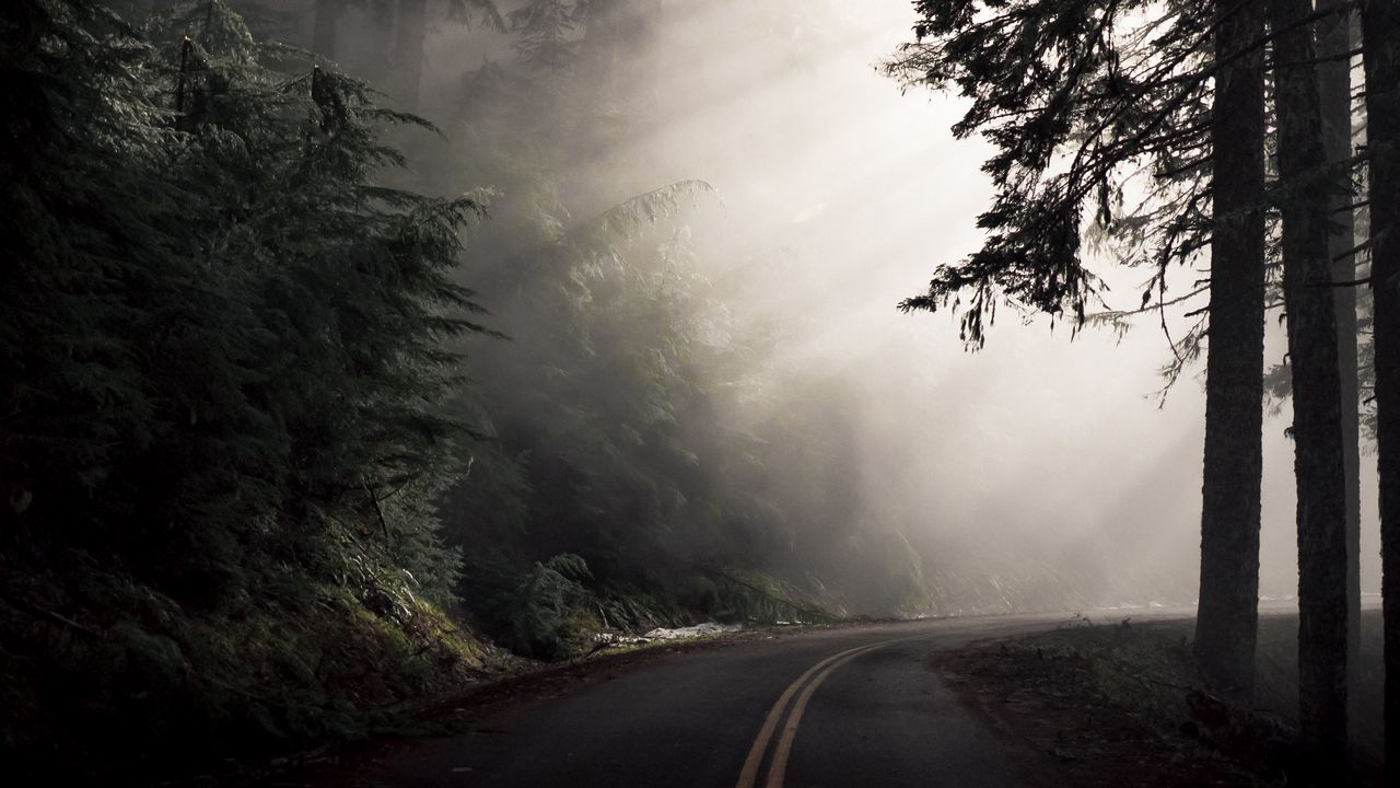 Обои дорога, туман, поворот, деревья, темный