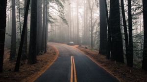 Превью обои дорога, туман, разметка, лес, деревья