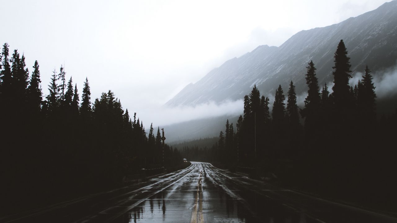 Обои дорога, туман, разметка, горы, влажный, альберта, канада
