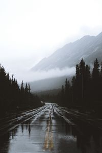 Превью обои дорога, туман, разметка, горы, влажный, альберта, канада
