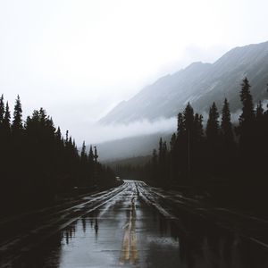 Превью обои дорога, туман, разметка, горы, влажный, альберта, канада