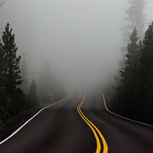 Превью обои дорога, туман, разметка, асфальт, поворот, деревья