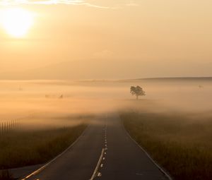 Превью обои дорога, туман, разметка, дерево