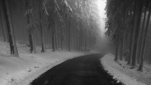 Превью обои дорога, туман, снег, поворот, деревья