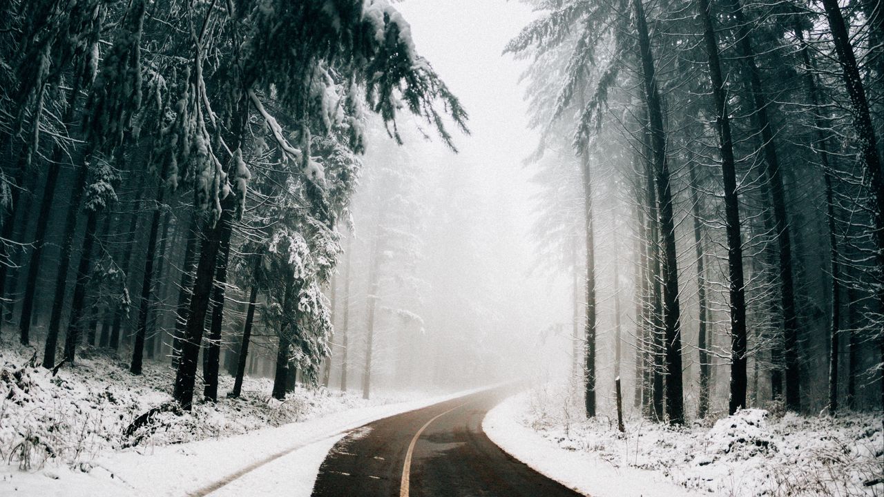 Обои дорога, туман, зима, деревья, поворот, асфальт