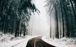 Превью обои дорога, туман, зима, деревья, поворот, асфальт