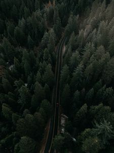 Превью обои дорога, вид сверху, деревья, разметка, авто, движение