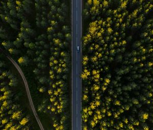 Превью обои дорога, вид сверху, деревья, машина