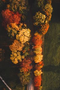 Превью обои дорога, вид сверху, деревья, осень, машина