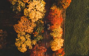 Превью обои дорога, вид сверху, деревья, осень, машина