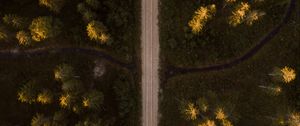 Превью обои дорога, вид сверху, ель, лес, деревья