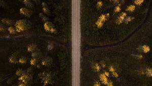Превью обои дорога, вид сверху, ель, лес, деревья