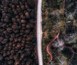 Превью обои дорога, вид сверху, лес, деревья, индонезия