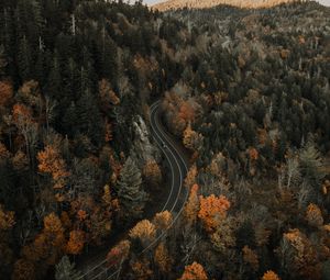 Превью обои дорога, вид сверху, лес, осень, движение