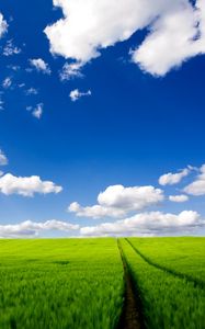 Превью обои дорога, зелень, трава, небо, облака, следы