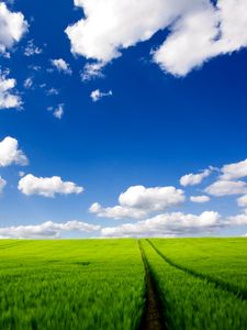 Превью обои дорога, зелень, трава, небо, облака, следы
