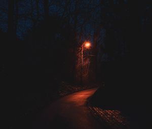 Превью обои дорожка, фонарь, ночь, темный