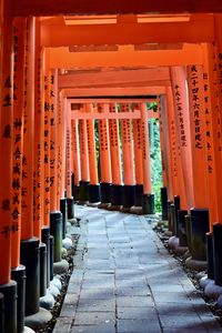 Превью обои дорожка, колонны, иероглифы, красный, япония