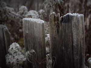 Превью обои доски, забор, иней, трава