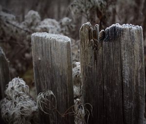 Превью обои доски, забор, иней, трава