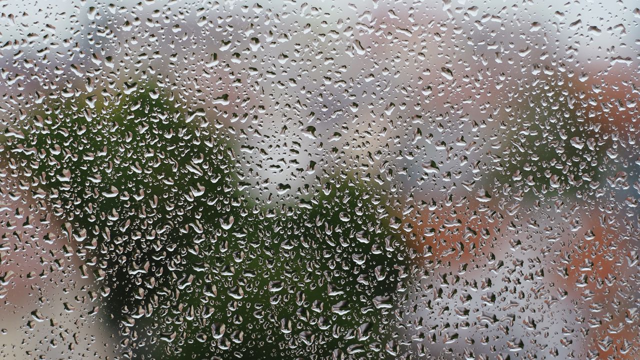Обои дождь, капли, стекло, мокрый, влажный