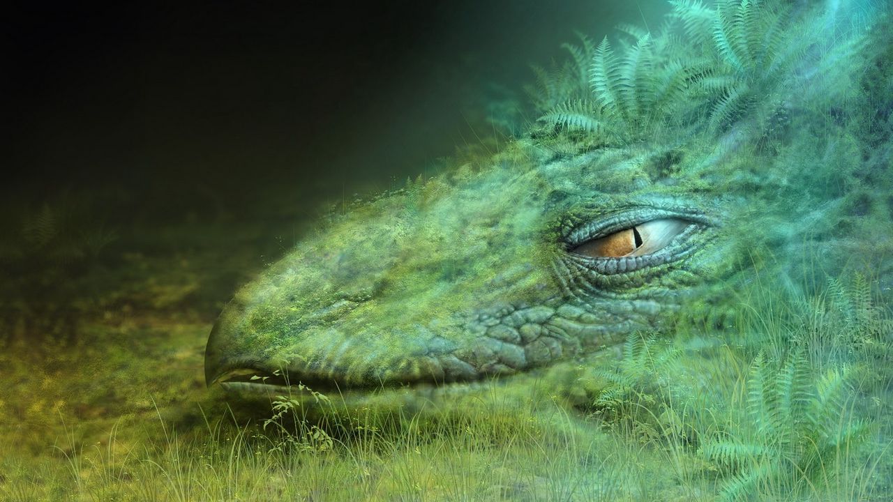 Обои дракон, зеленый, маскировка, голова, глаз