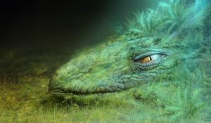 Превью обои дракон, зеленый, маскировка, голова, глаз