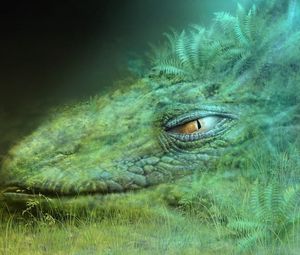 Превью обои дракон, зеленый, маскировка, голова, глаз