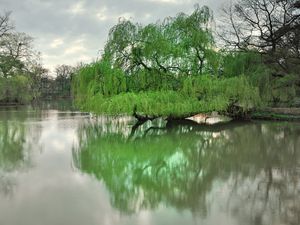 Превью обои дрезден, парк, озеро, деревья, весна