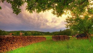 Превью обои дрова, дерево, ветви, луг, поляна, лето