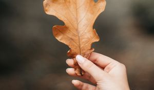 Превью обои дуб, лист, жилки, рука, пальцы, осень