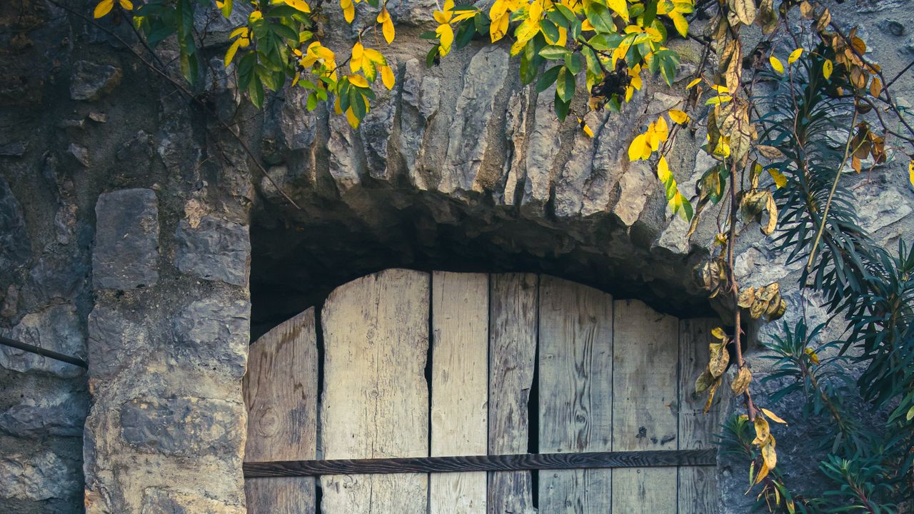 Обои дверь, доски, листья, ветки