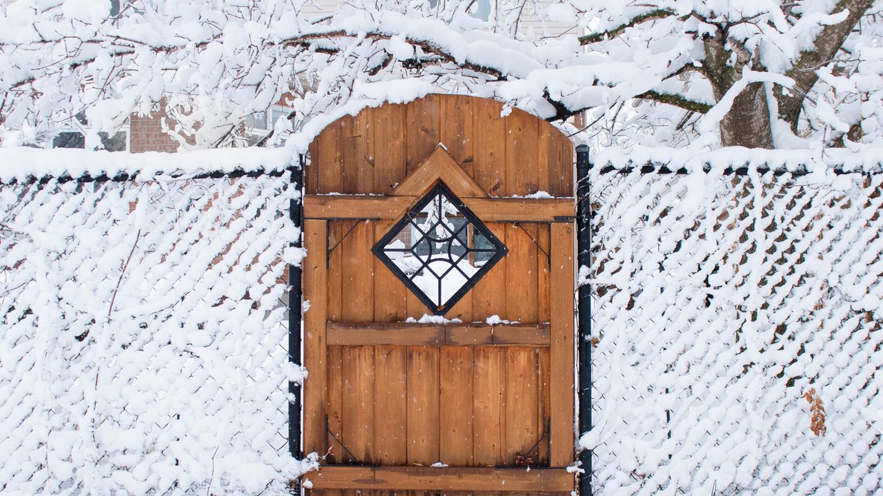 Обои дверь, ограда, снег, зима, дерево