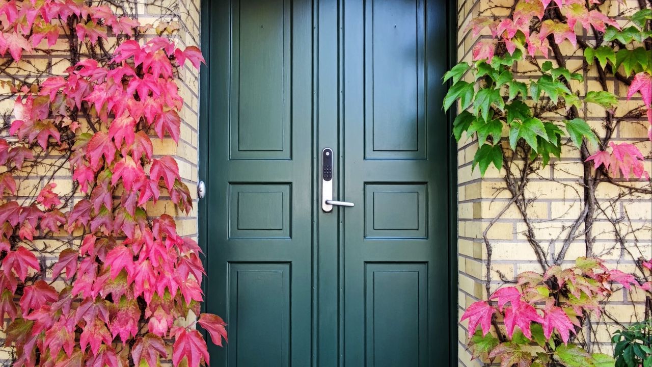 Обои дверь, осень, лестница, растения