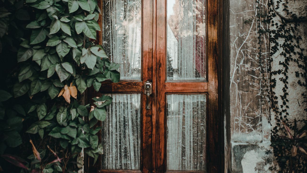 Обои дверь, плющ, лоза, вход, деревянный, стеклянный