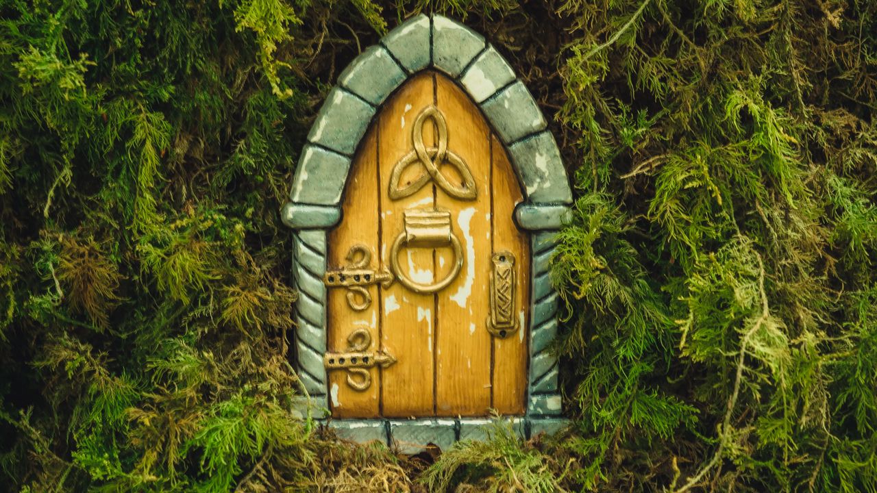 Обои дверь, выход, растение, ветки, зеленый