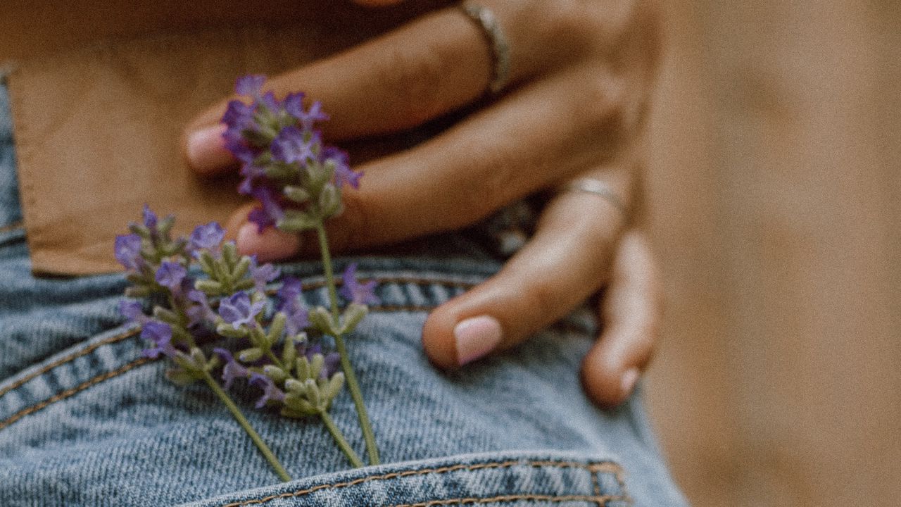 Обои джинсы, карман, цветы, рука, кольцо