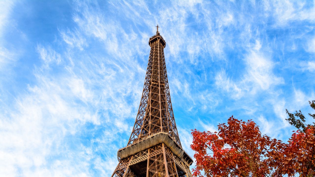 Обои эйфелева башня, башня, дерево, осень, небо, париж, франция