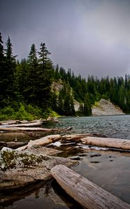 Превью обои ель, бревна, вода, камни