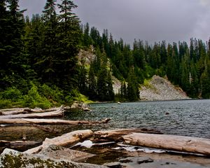 Превью обои ель, бревна, вода, камни