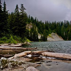 Превью обои ель, бревна, вода, камни