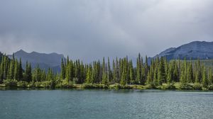 Превью обои ель, деревья, горы, озеро, небо