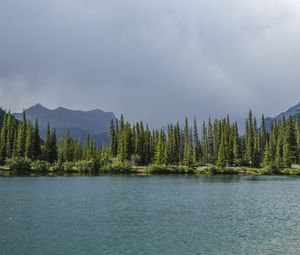 Превью обои ель, деревья, горы, озеро, небо