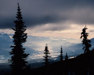 Превью обои ель, деревья, горы, заснеженный, даль