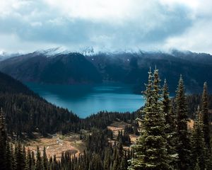 Превью обои ель, деревья, горы, даль, облака