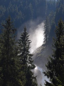 Превью обои ель, деревья, лес, река, туман