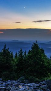 Превью обои ель, деревья, луна, камни, сумерки